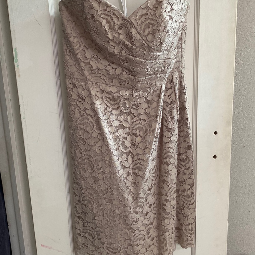 David’s Bridal Formal Dress